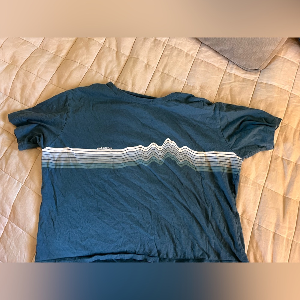 Patagonia crop T-shirt. Size small.